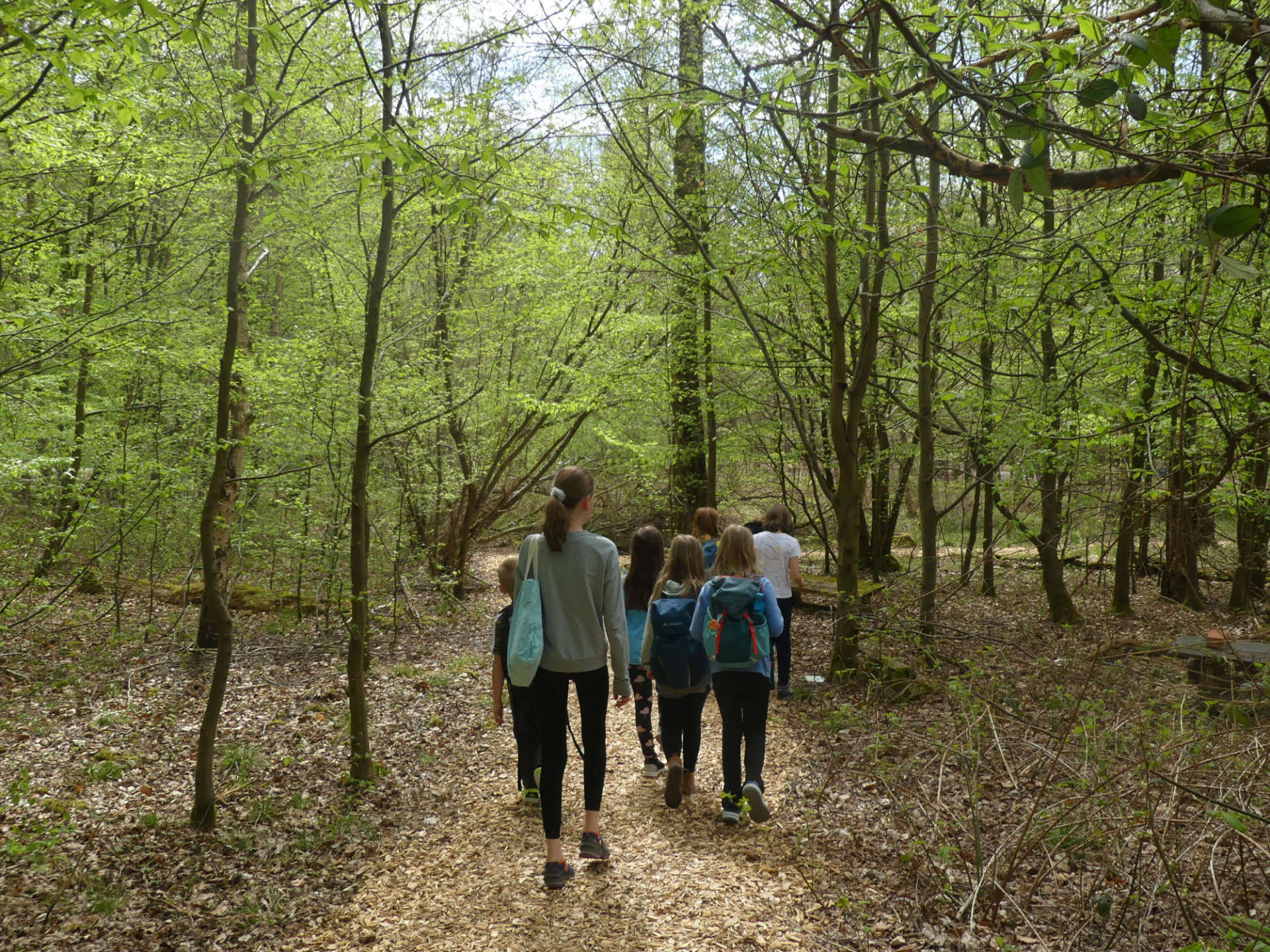 Eine Gruppe von Kindern geht auf einem Waldweg spazieren