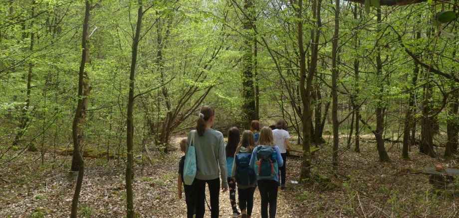 Eine Gruppe von Kindern geht auf einem Waldweg spazieren