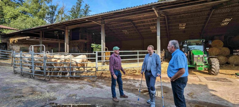 Landwirtschaftsdezernent und Erster Kreisbeigeordneter Dr. Jens Mischak (Mitte) ist gemeinsam mit Ronny Mohr (rechts), dem Leiter des Vogelsberger Amtes für Wirtschaft und den ländlichen Raum, zu Besuch im Mutterkuhbetrieb von Landwirtschaftsmeister Hans-Jörg von Schönfels.