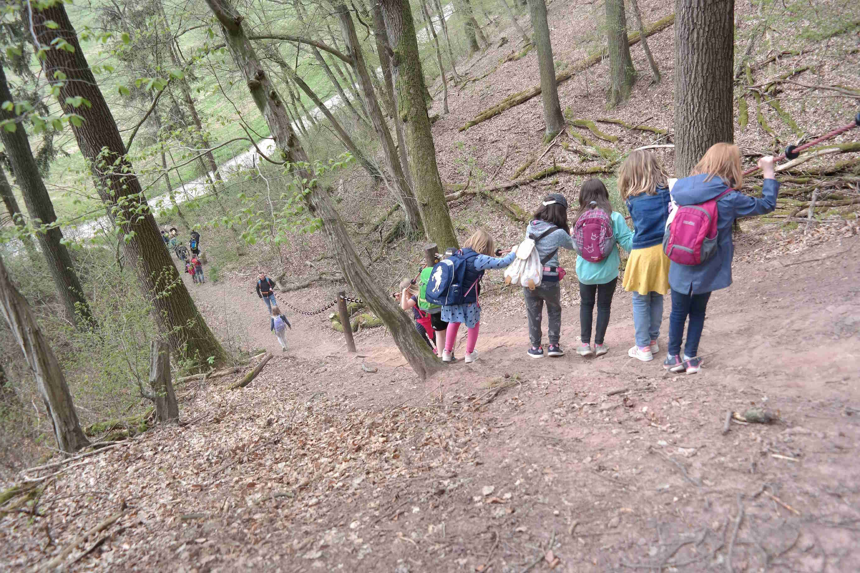 Spannende Abenteuer warten rund um das Kreisjugendheim Landenhausen: Maximal 25 Kinder können an der fünftägigen Freizeit teilnehmen. Auf dem Foto klettern mehrere Kinder einen Steilen WEg im Wald hinunter. Sie halten sich an einem Seil fest.