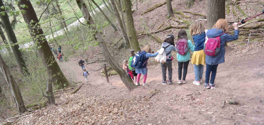 Spannende Abenteuer warten rund um das Kreisjugendheim Landenhausen: Maximal 25 Kinder können an der fünftägigen Freizeit teilnehmen. Auf dem Foto klettern mehrere Kinder einen Steilen WEg im Wald hinunter. Sie halten sich an einem Seil fest.