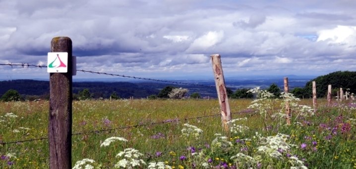 Wandertour bei Ulrichstein - ein Blick auf einen Weidezaunpfahl aus Holz mit einem Hinweisschild eines Wanderweges