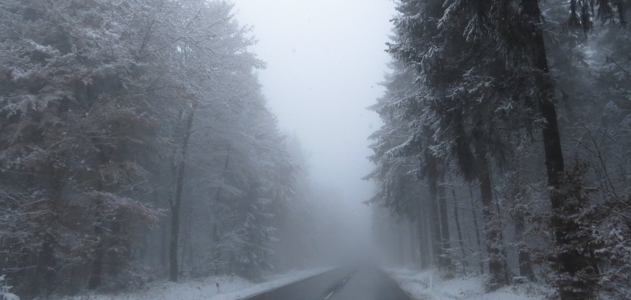 Landstraße im Wald, Schnee und Nebel